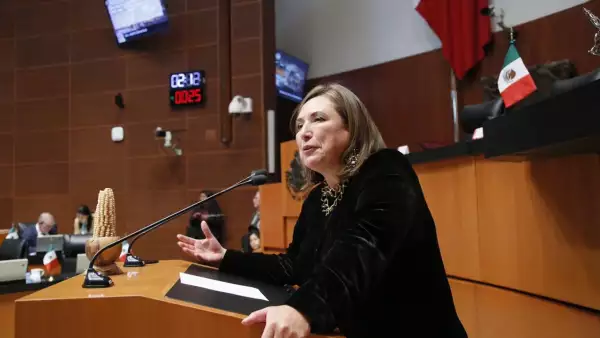 Xóchitl Gálvez.jpeg