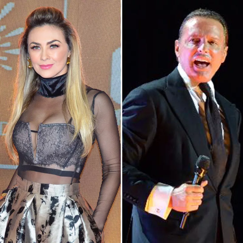aracely-luis-miguel.JPG