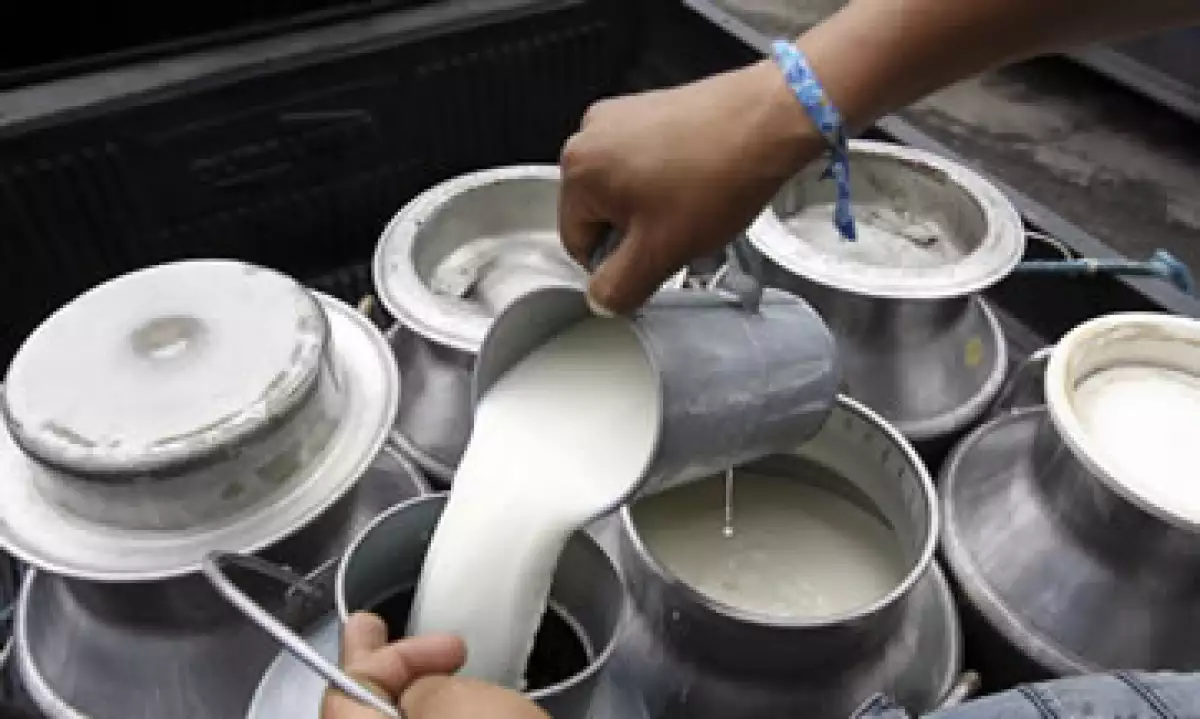 Producci�n Leche
