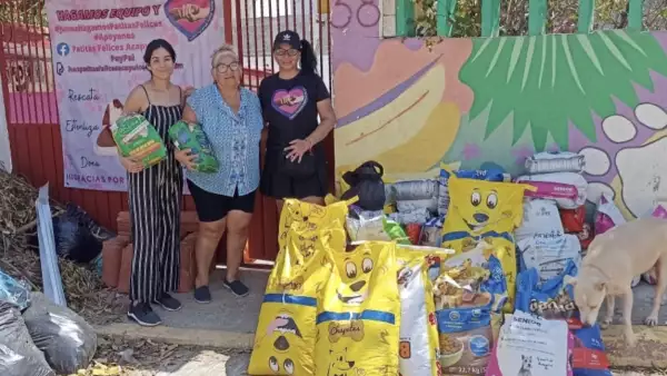Campaña Patitas felices Acapulco