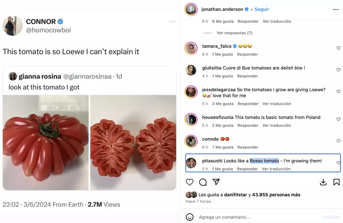 El jitomate Loewe que está rompiendo el internet y Jonathan Anderson aprueba