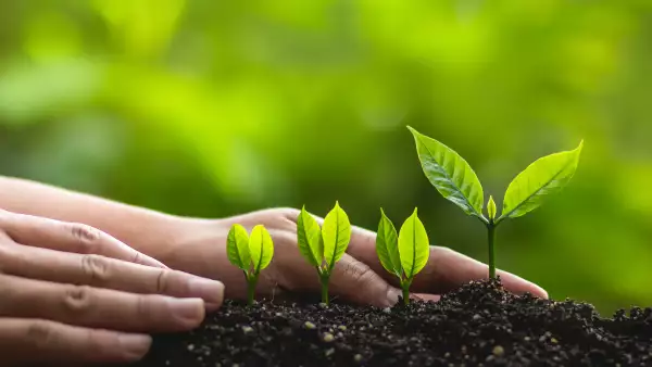 En México, la agricultura es la actividad que más consume agua con el 76% del total de agua concesionada.