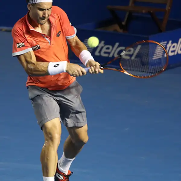 David Ferrer