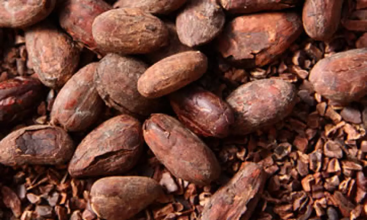 En los últimos 10 años, enfermedades disminuyeron la producción de cacao en México en 50%, dijo Nestlé. (Foto: Getty Images)