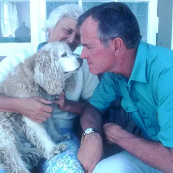 perros, presidente, eu, BushPadre