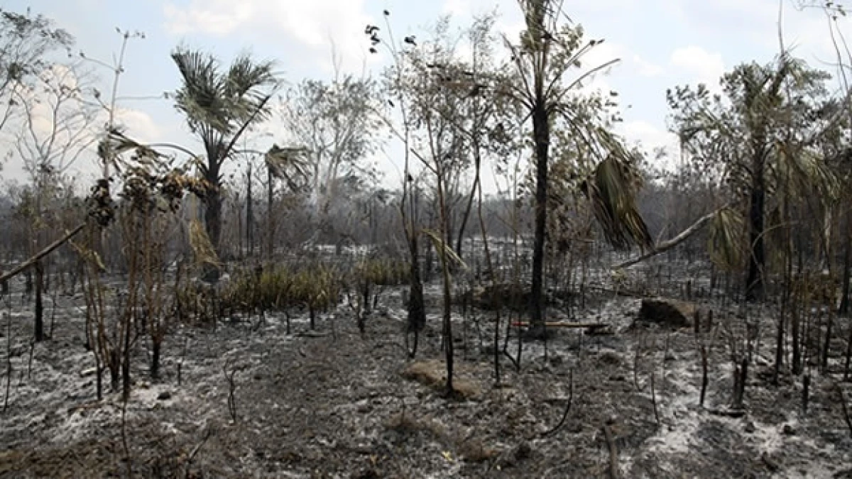 Incendios