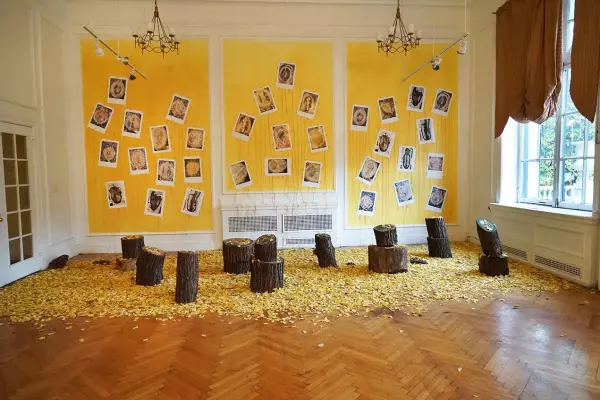 Su actual exposición