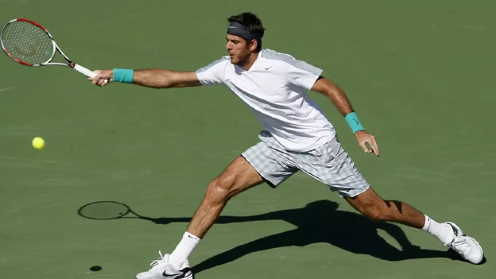 Del Potro final torneo Indian Wells 