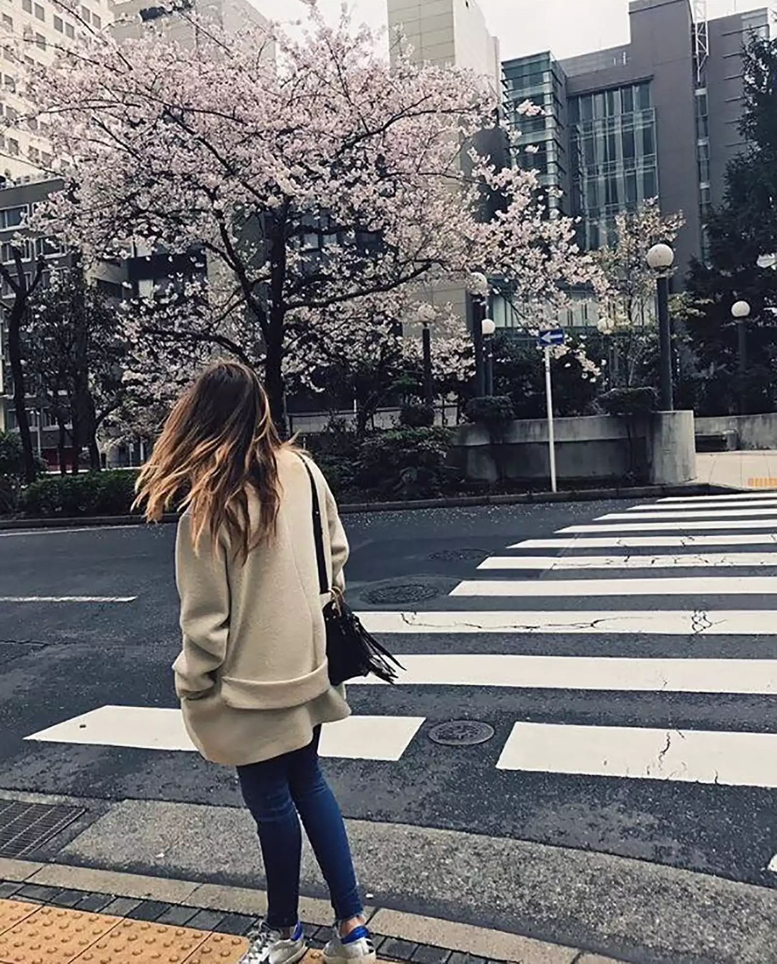 Enamoradas de Japón 