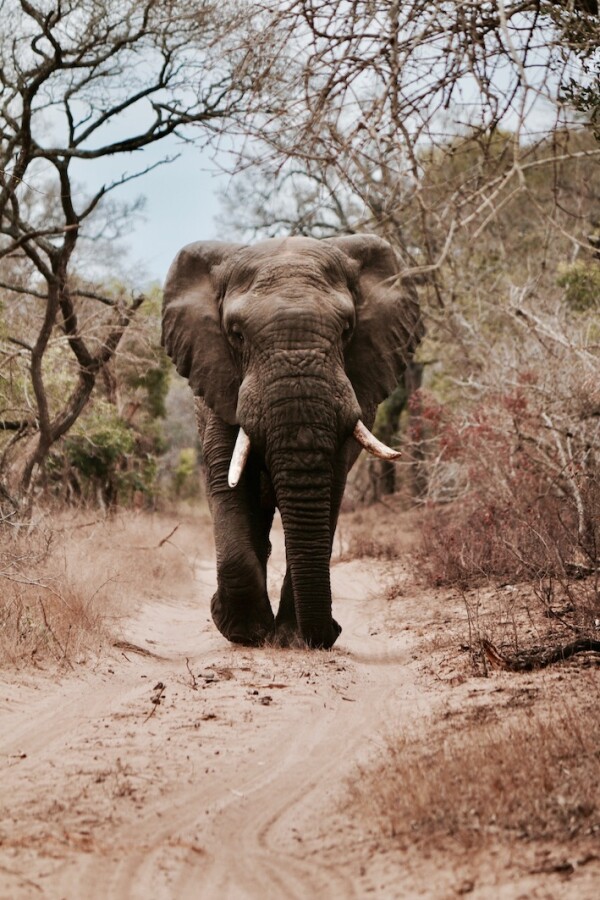 will-shirley-405739-unsplash