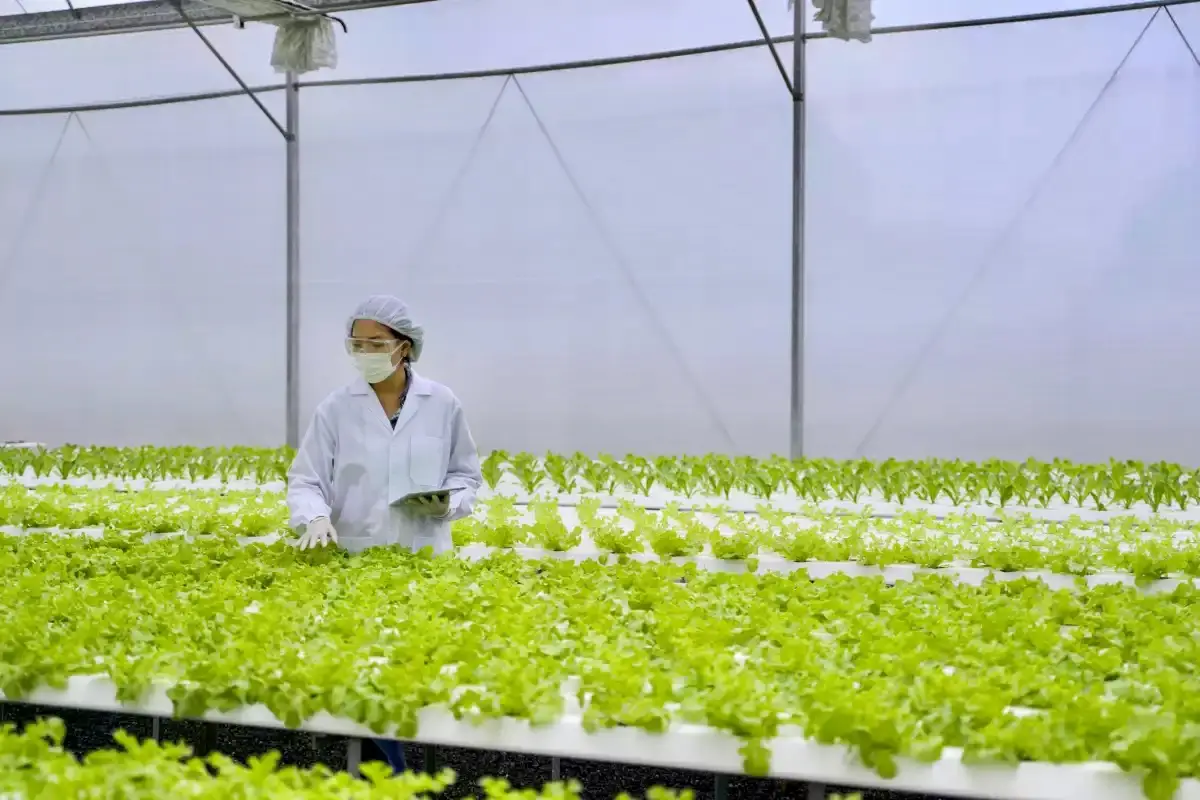 agricultura protegida