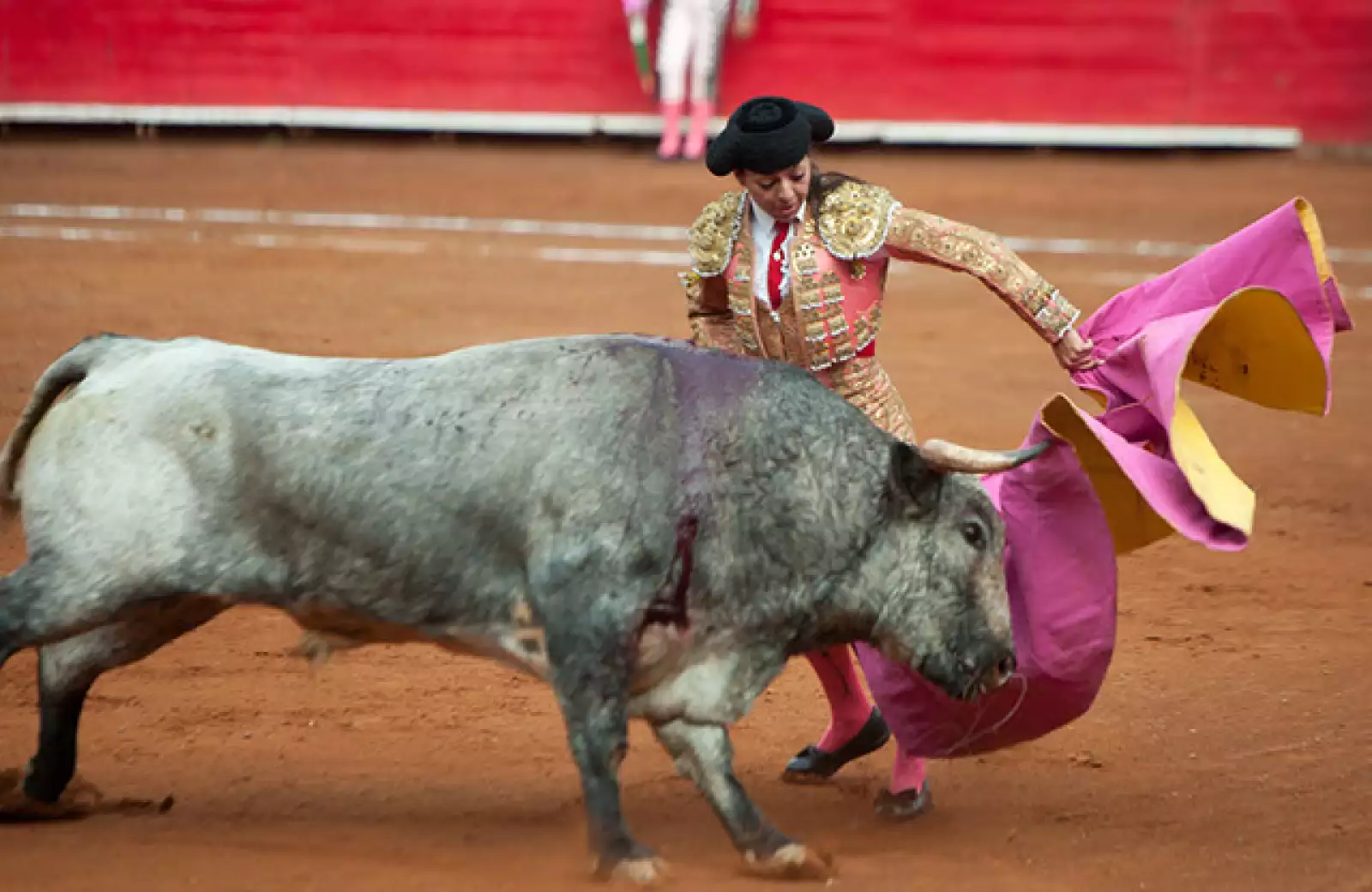 Karla de los Ángeles