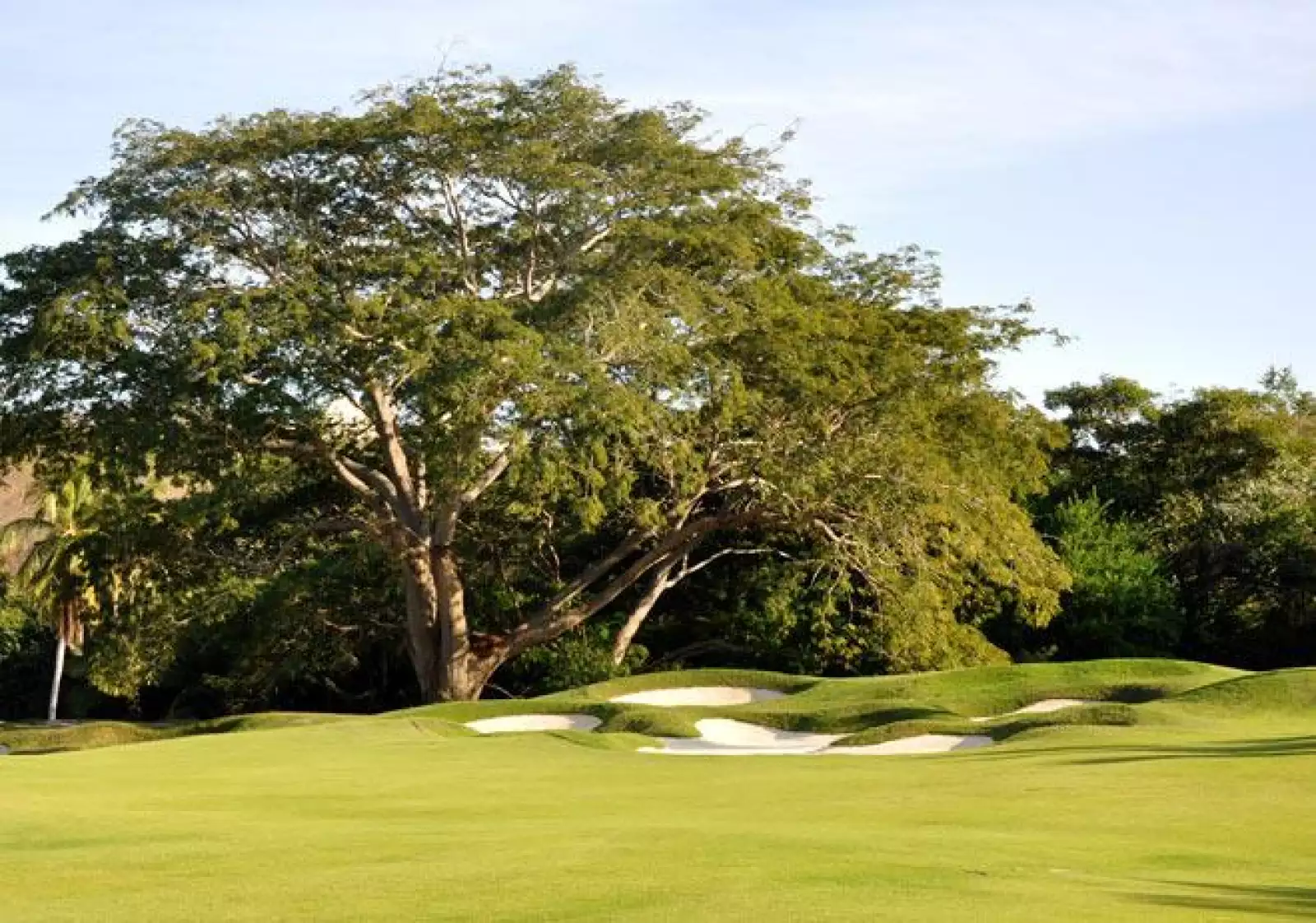 Las Parotas Club de Golf  10