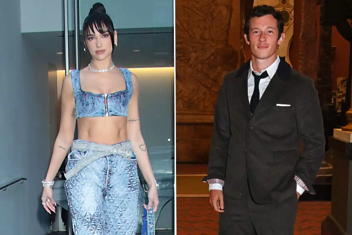 Dua Lipa, Callum Turner