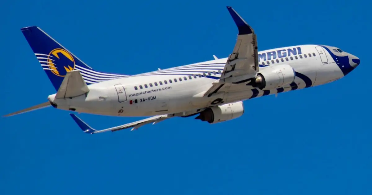 La familia detrás de Magnicharters: quién es el dueño de la aerolínea que suspendió vuelos en México 