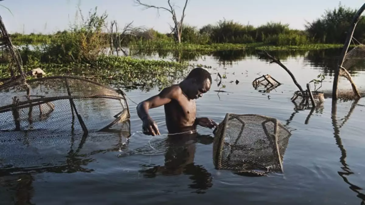 lago chad africa seguía