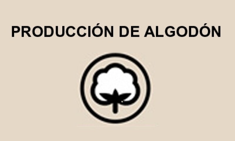 Algod�n Info.