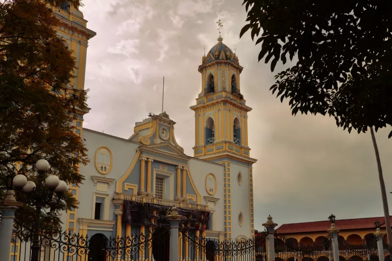 IMMACULATE CONCEPTION