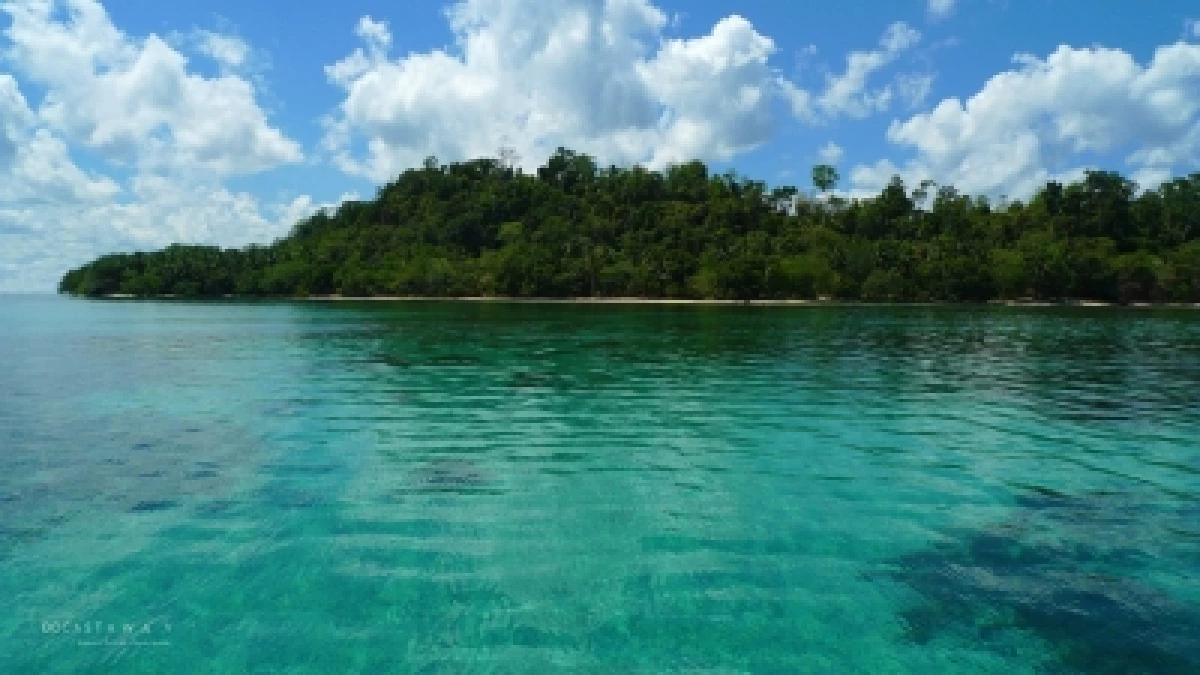 Docastaway