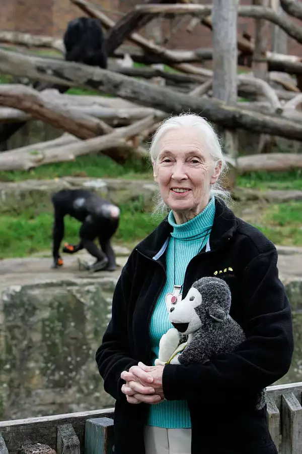 Dr Jane Goodall Speaks At Taronga Zoo