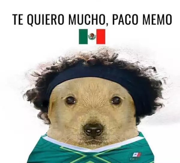 memo-ochoa-memes-polonia.jpeg