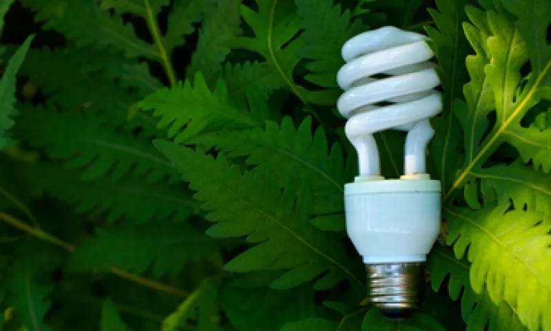 Existen 3 niveles de sustentabilidad en las empresas, pero lo ideal es implementar un modelo integral, afirma Gunter Pauli. (Foto: Thinkstock)