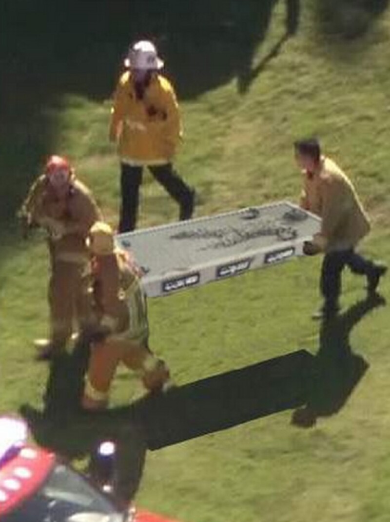 Meme sobre el accidente de Harrison Ford.