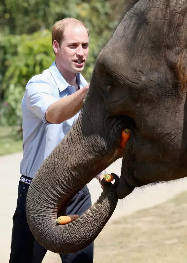A Ran Ran pareció gustarle la presencia del príncipe.