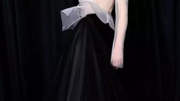 Schiaparelli HC.jpg
