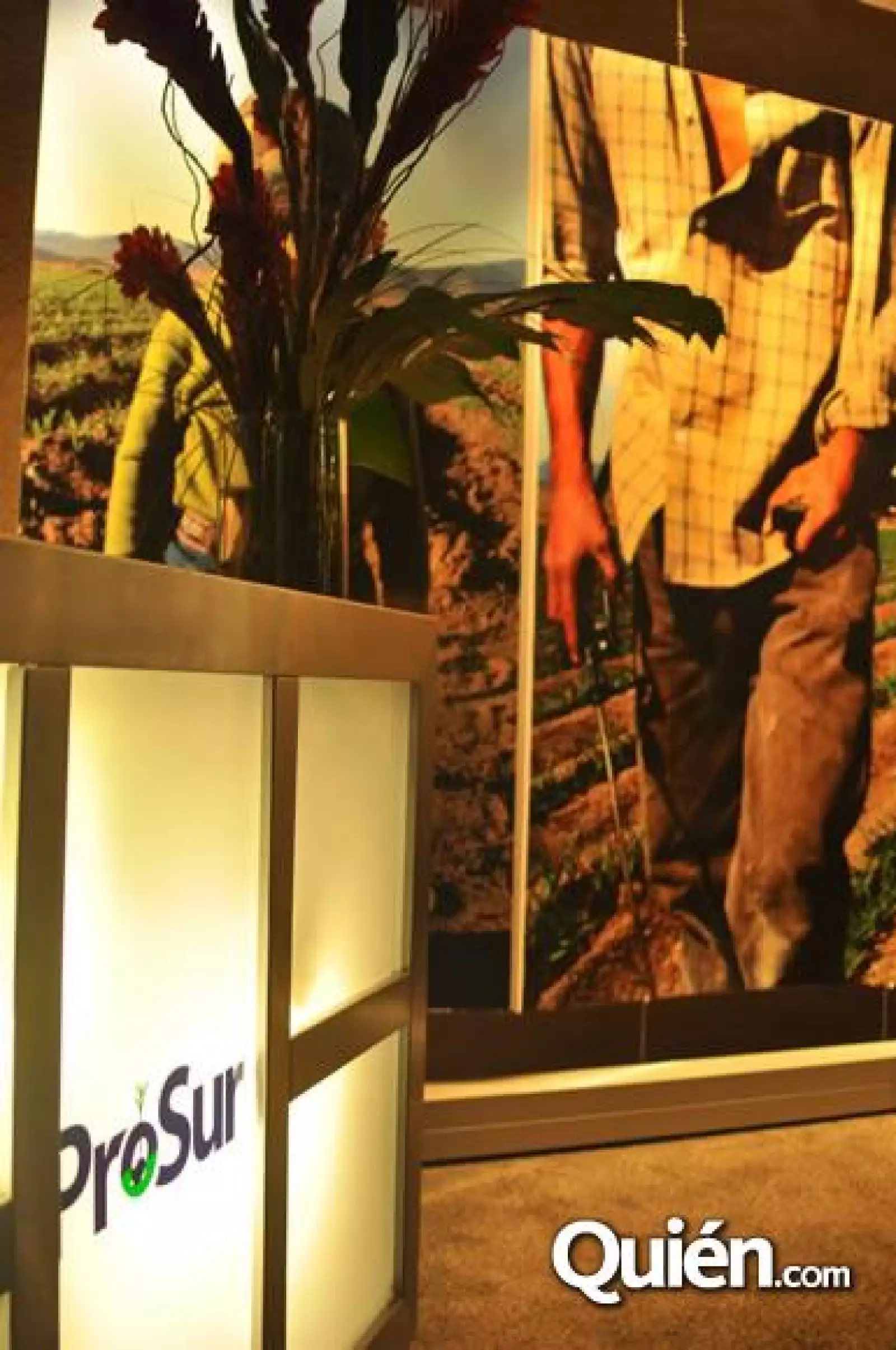 Casino Night Pro Sur