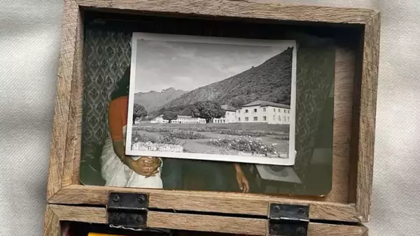 vintage cameras.jpeg