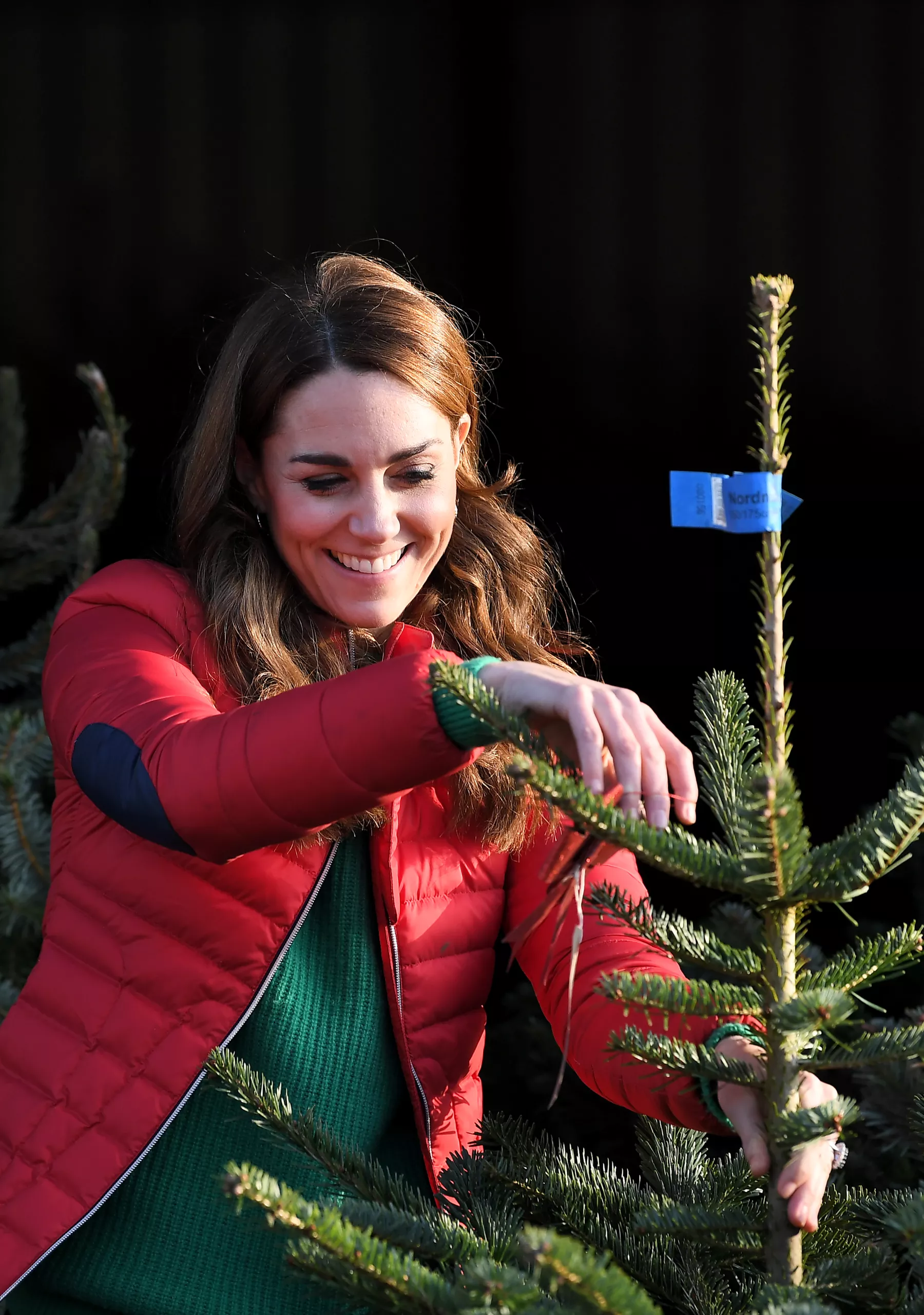Las claves de Kate Middleton para escoger el árbol de Navidad ideal