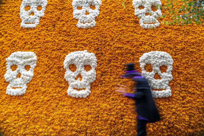Day Of The Dead In Mexico City