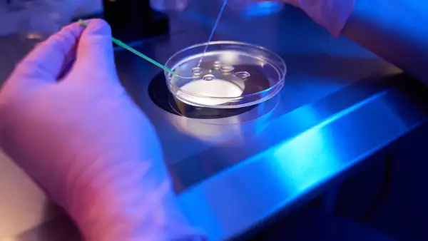 Óvulos hechos con células de la piel