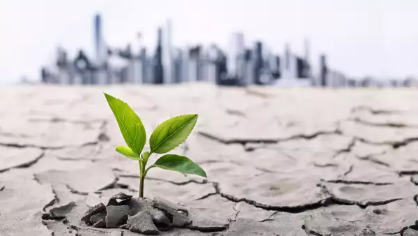 Negocios y medio ambiente