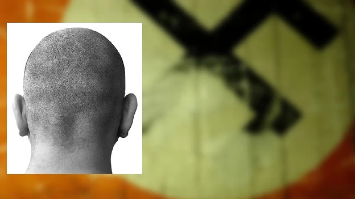 skinheads nazis
