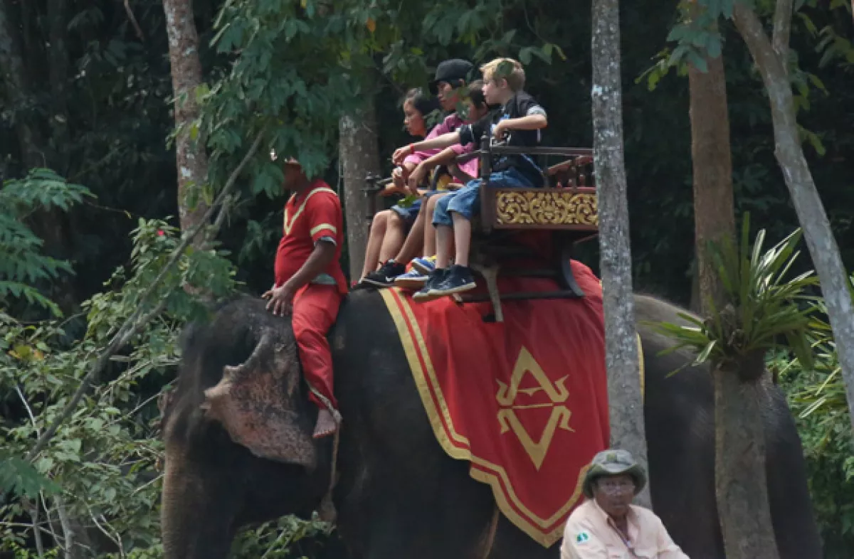 Sus hijos se separaron en varios elefantes para el recorrido, y en este aparece Shiloh.