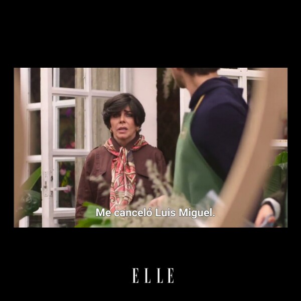 La-Casa-De-Las-Flores-Meme-ELLE-06