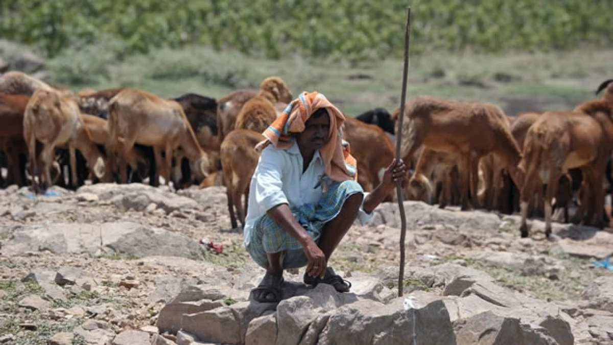 Un granjero se resguarda del calor que azota a India desde hace días y ha causado centenares de muertos