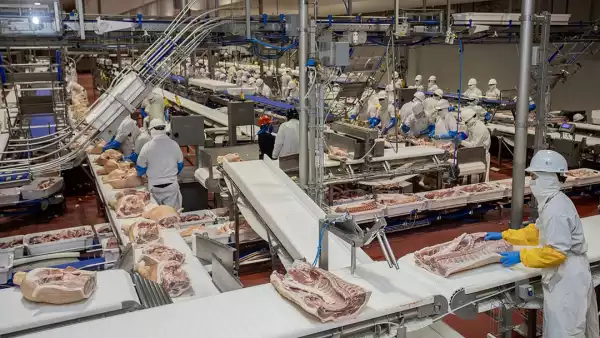 "El reto de alimentar a la gente es brutal": productores de carne evalúan alternativas veganas