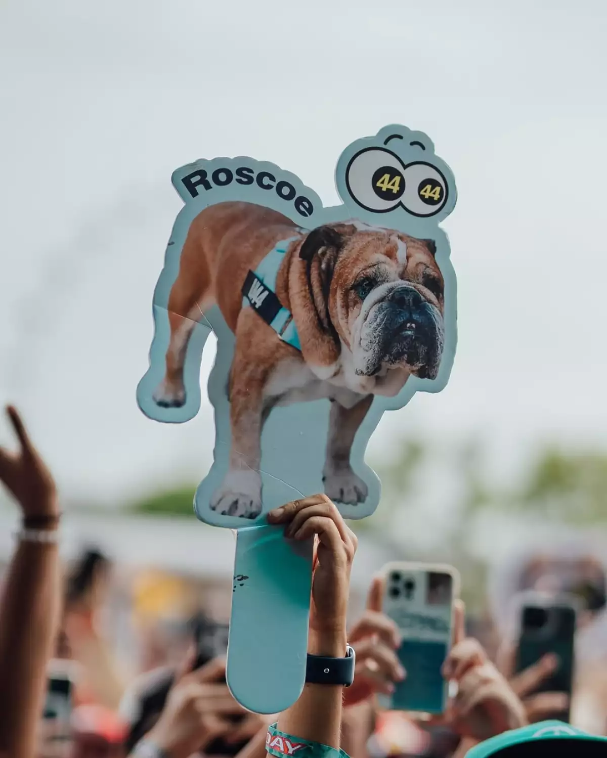 Roscoe-Hamilton-fans.jpg