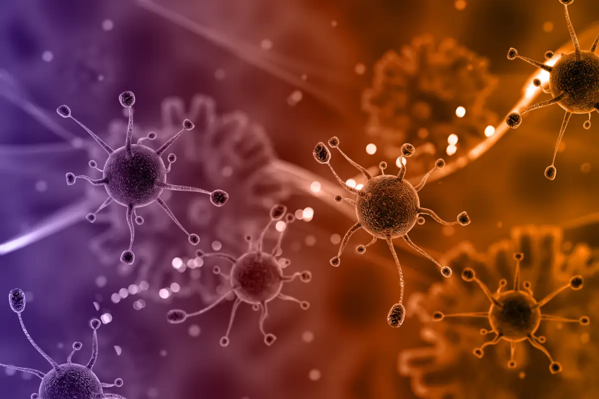 Infecciones bacterianas.