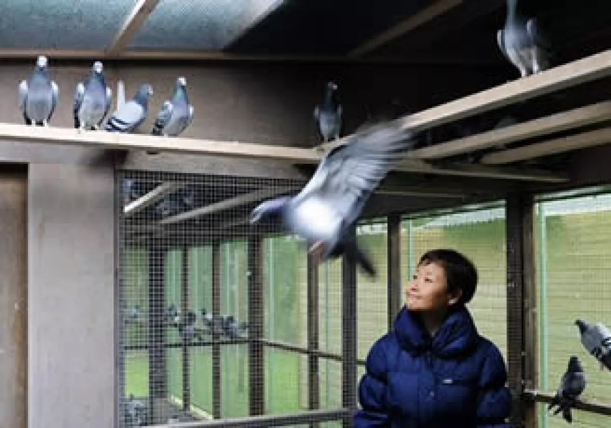 Yi Minna, jefa de operaciones de PiPa, organiza la subasta de las aves. (Foto: AP)