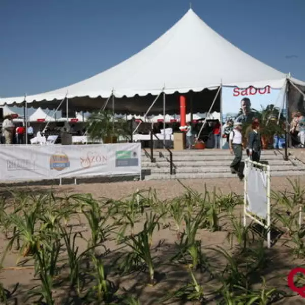 Aspectos  Festival de Sabor