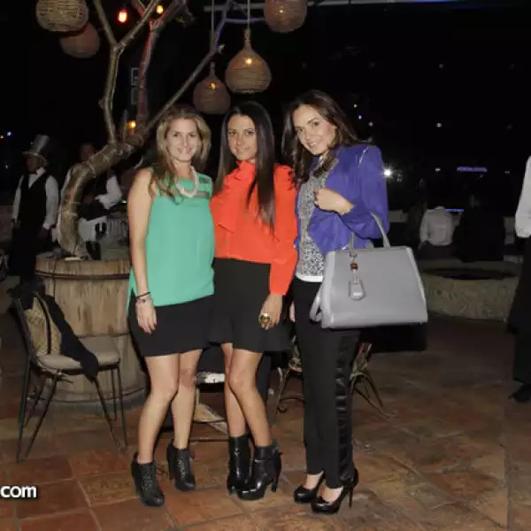 Siry Mobayed,Ingrid Ulrish,Jessica Bajos