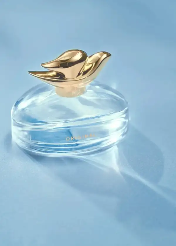 DOVE-1.jpg