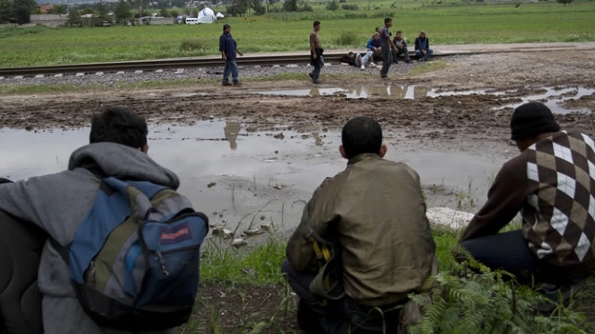 migrantes