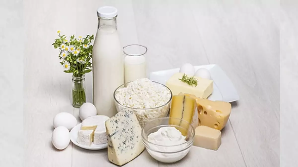 lacteos leche queso