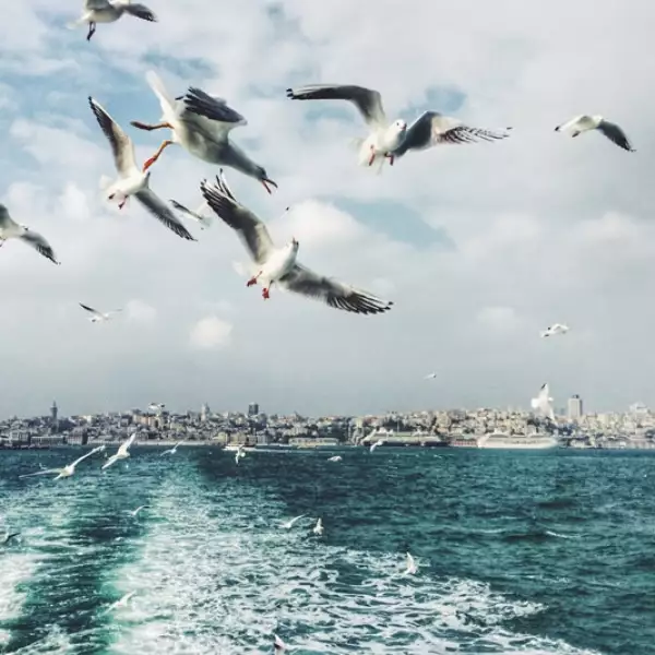 sony award mobile shortlist