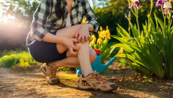 Summer,Season.,Woman,Scratches,Her,Leg,,Which,Is,Itchy,From